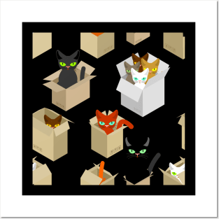 Cats in boxes Posters and Art